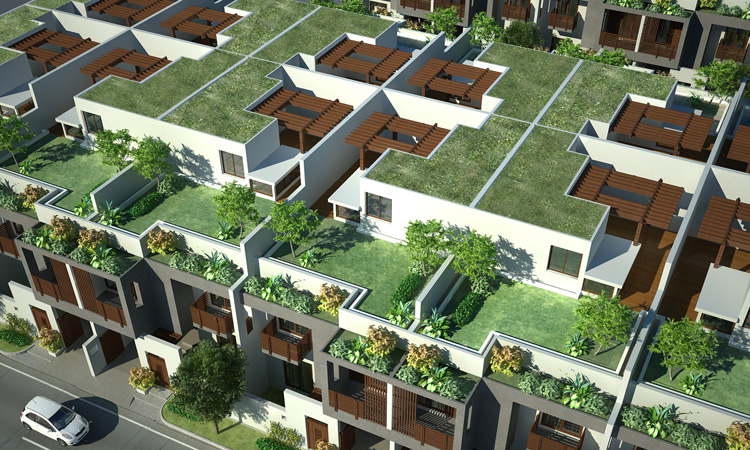 Green Building Council | article